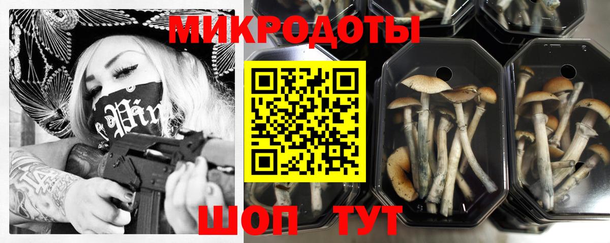 Галлюциногенные грибы Magic Shrooms Карачаевск