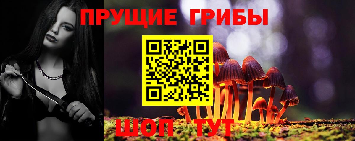 Карачаевск  Псилоцибиновые грибы мухоморы  где найти наркотики  Вход с VPN  Галлюциногенные грибы мухоморы 